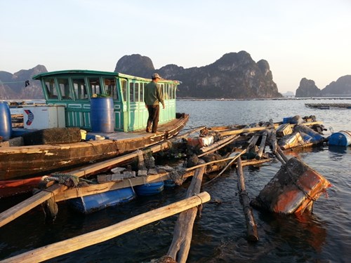 Village flottant des pêcheurs sans Têt à la baie Bai Tu Long